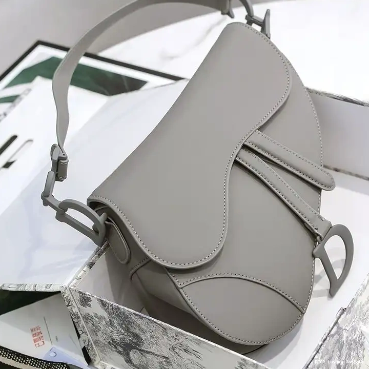 Grey Bag Saddle Calfskin Dior Ultramatte 0626 Luxury